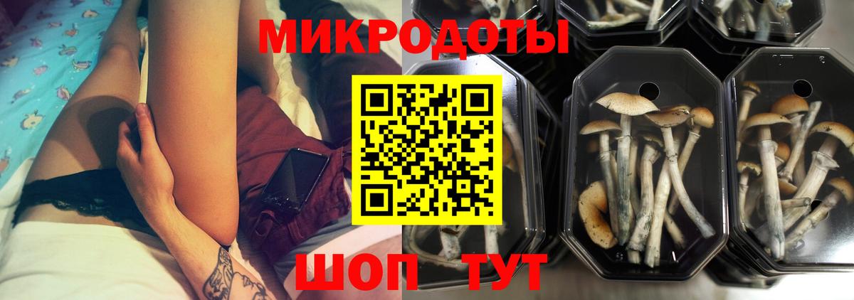 Дмитров  Галлюциногенные грибы Cubensis  Галлюциногенные грибы Magic Shrooms  купить   Вход с VPN 