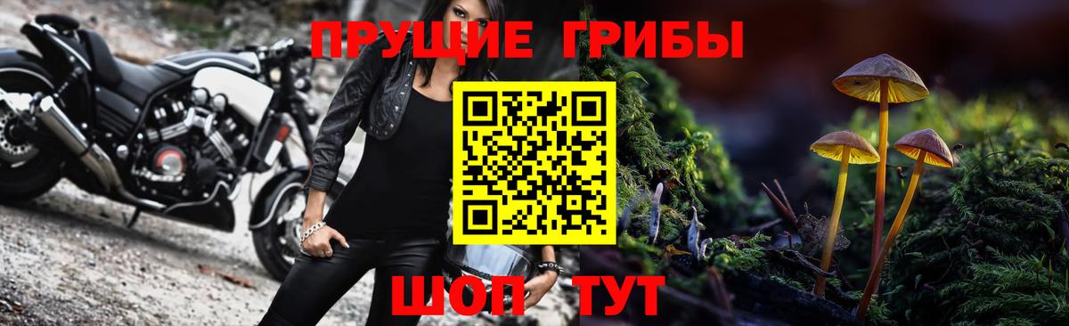 Псилоцибиновые грибы мицелий Дмитров
