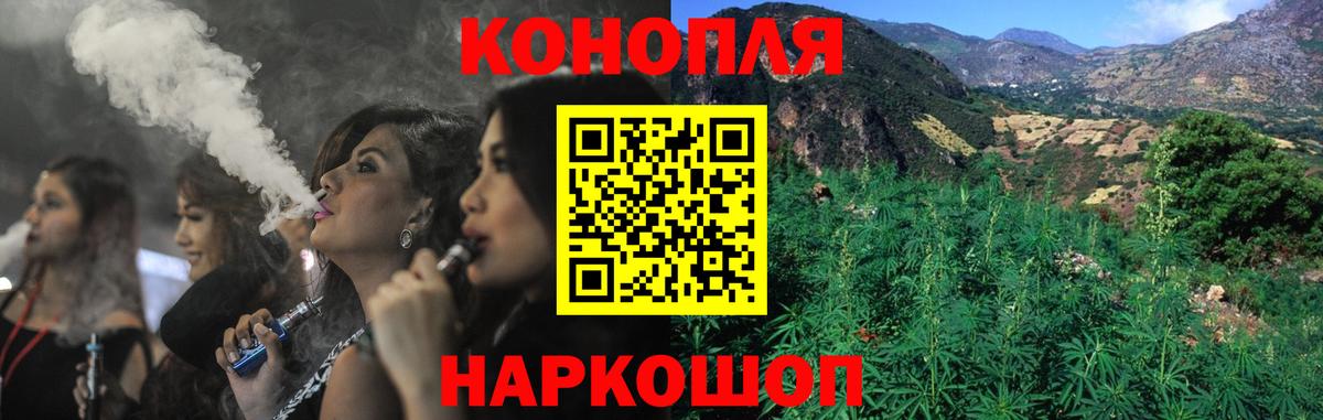 Бошки марихуана сатива Дмитров